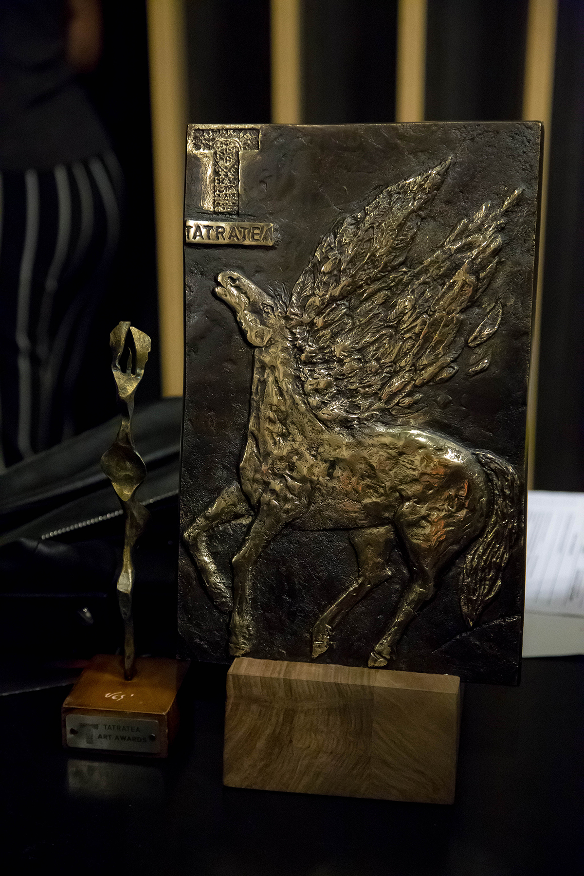 ������������� ����-����������� �������� CineLibri